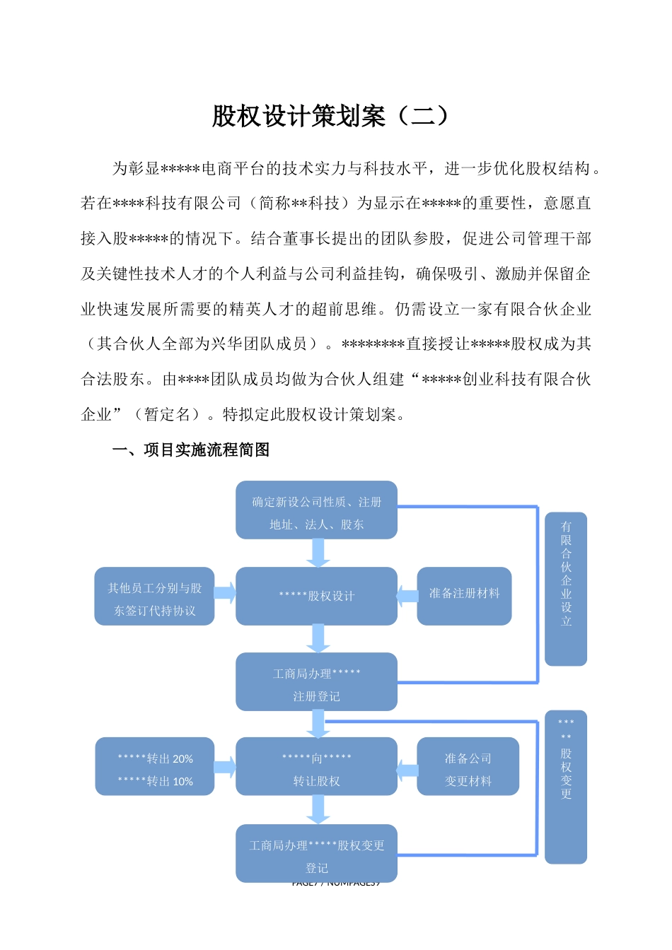 股权设计策标准划案_第1页