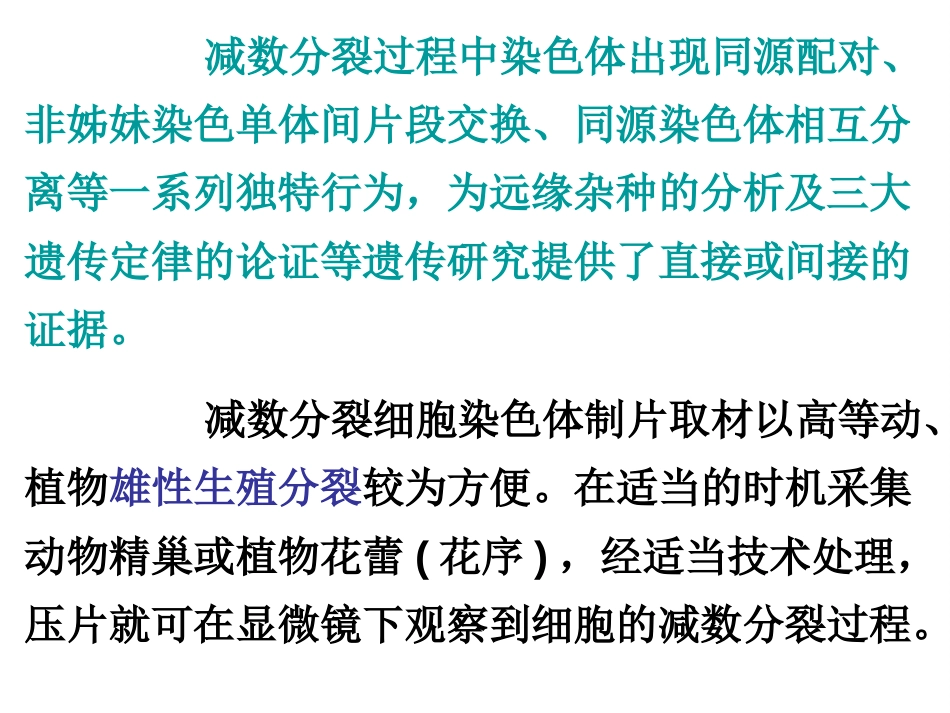 (3)--实验2 减数分裂花粉母细胞制片及观察_第3页