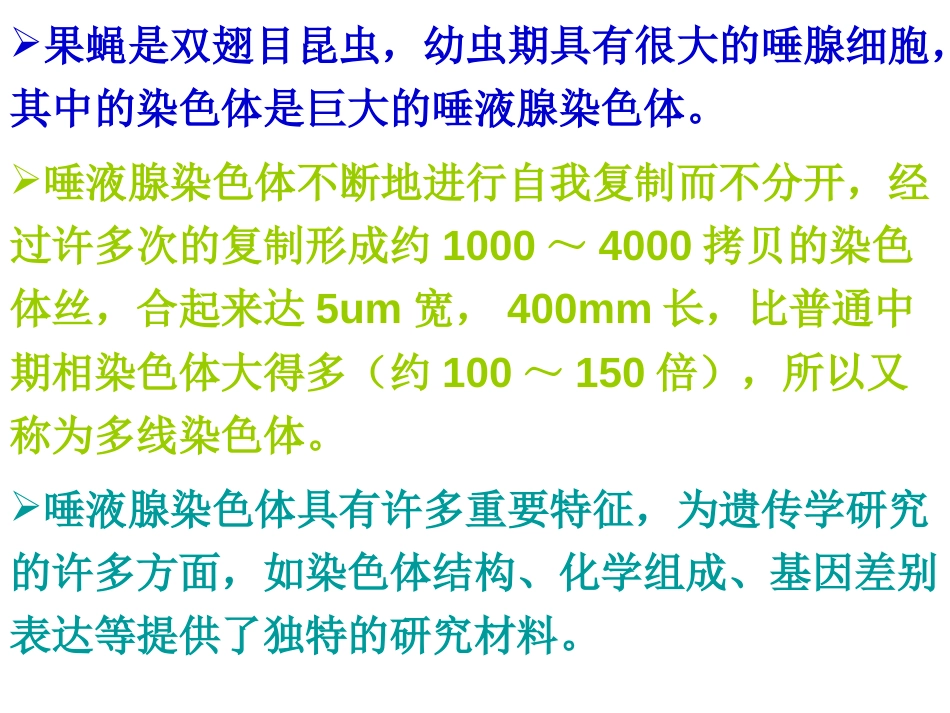 (5)--实验4 果蝇唾腺染色体的观察_第3页