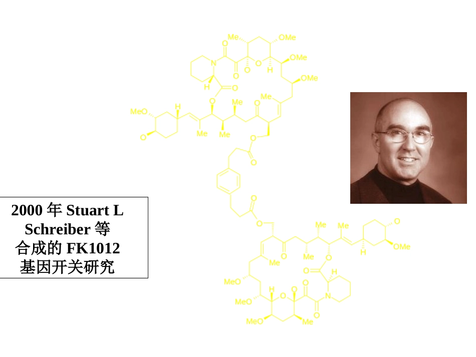 (11)--008-有机合成的展望_第3页