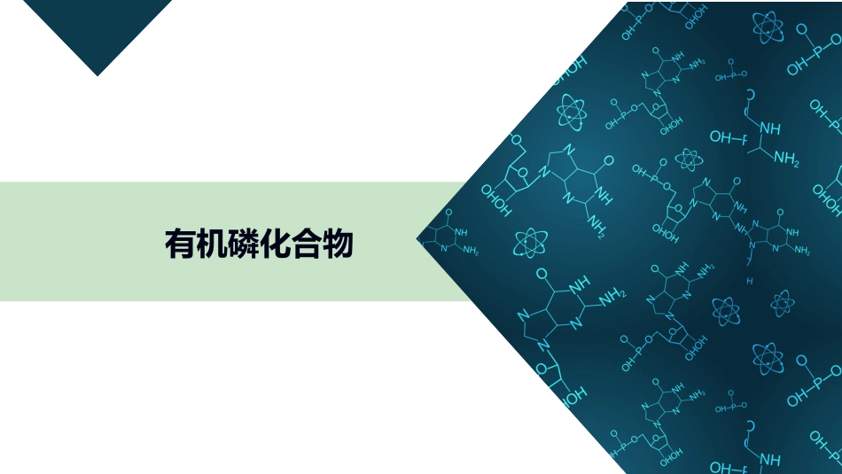 (19)--8.2 有机磷化物有机化学有机化学_第1页