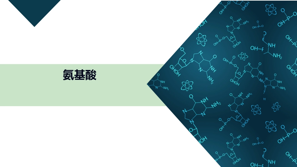 (27)--10-3-1 氨基酸有机化学有机化学_第1页