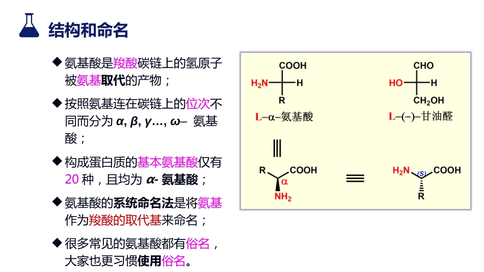 (27)--10-3-1 氨基酸有机化学有机化学_第2页