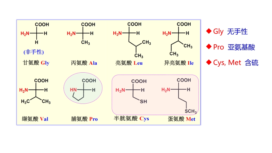 (27)--10-3-1 氨基酸有机化学有机化学_第3页