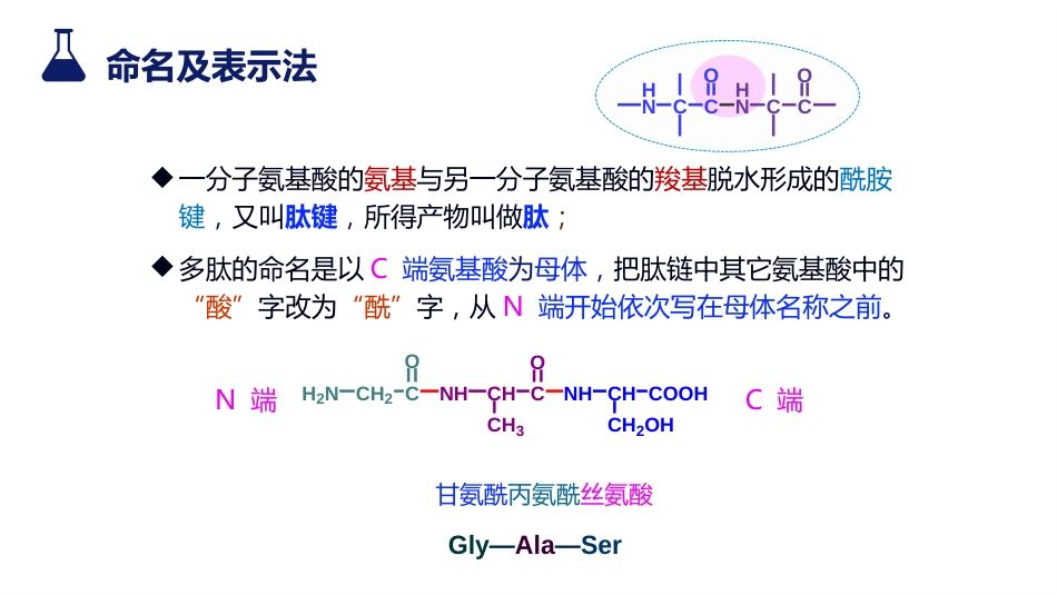 (28)--10-3-2 多肽有机化学有机化学_第2页