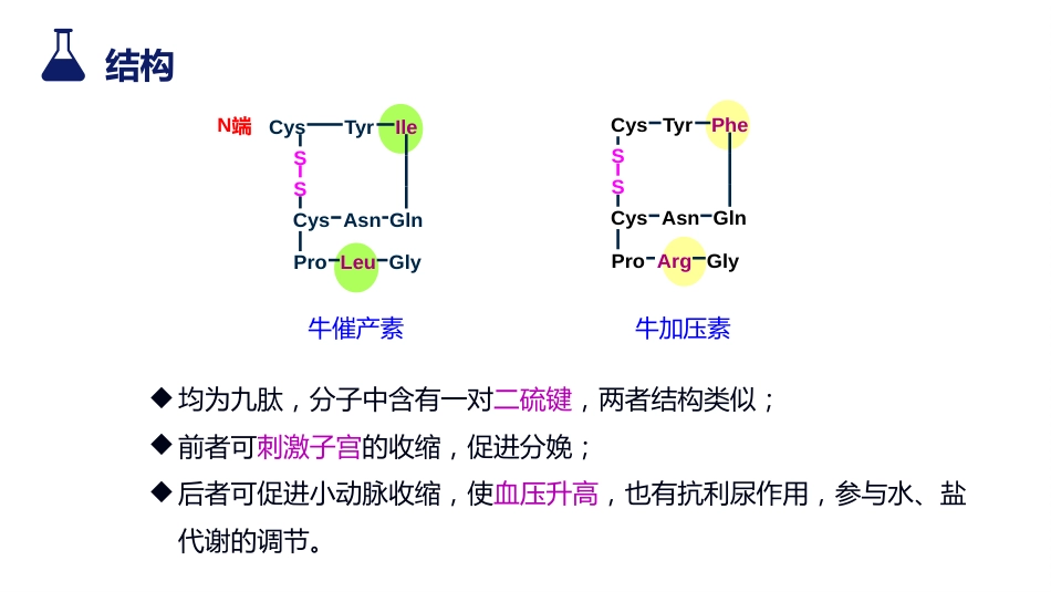 (28)--10-3-2 多肽有机化学有机化学_第3页