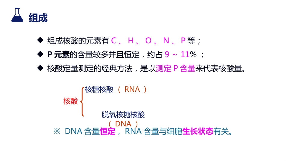 (30)--10-4 核酸有机化学有机化学_第3页