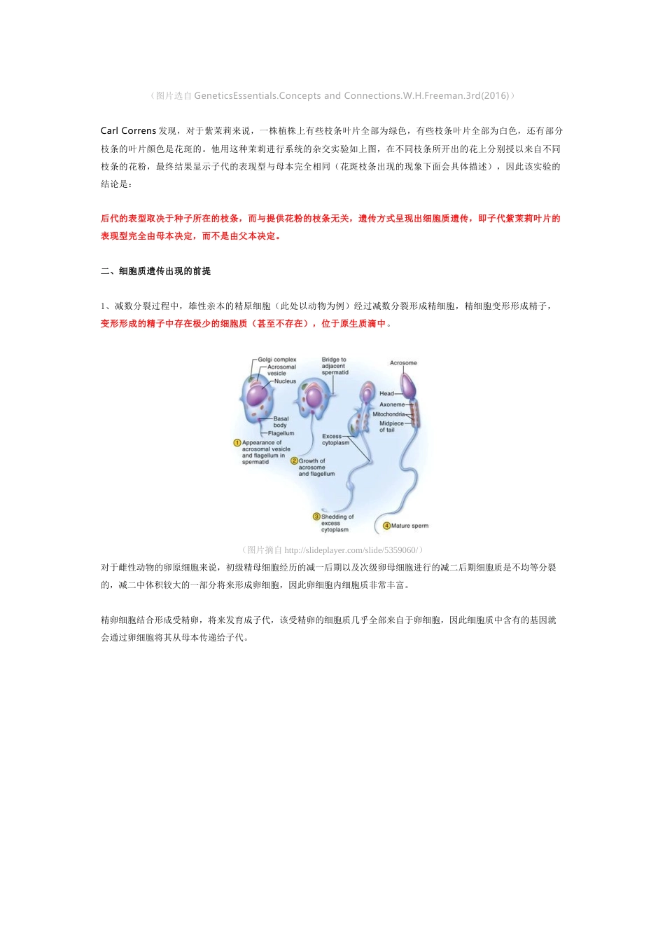 (32)--细胞质遗传（母系遗传）_第3页