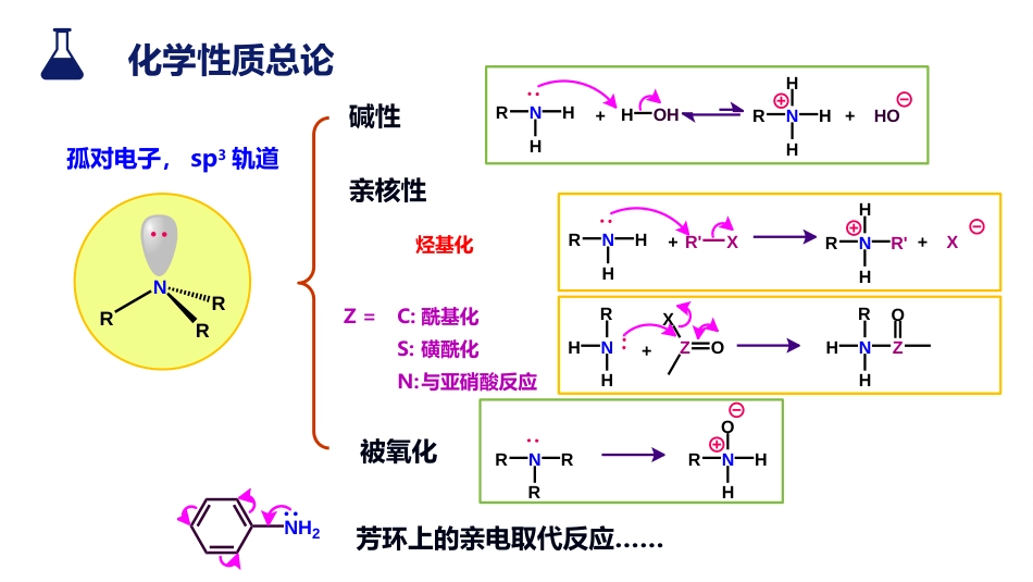 (46)--7.3.1 碱性有机化学有机化学_第2页