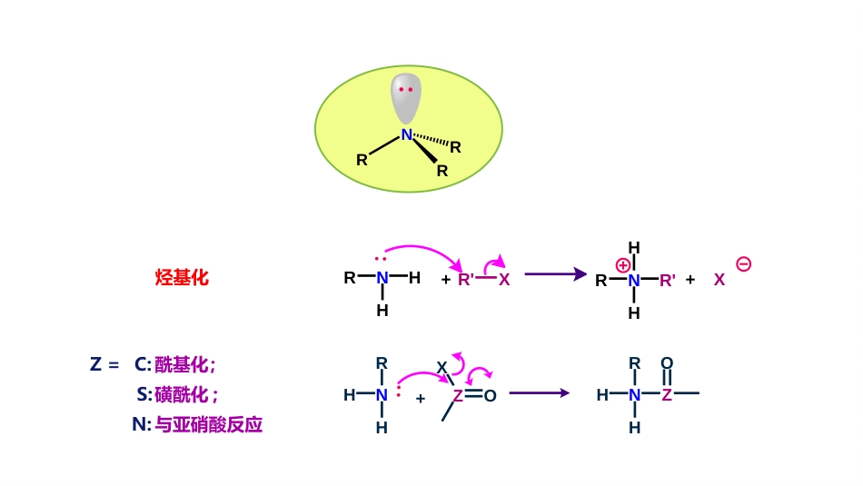 (47)--7.3.2 胺的亲核性有机化学_第2页