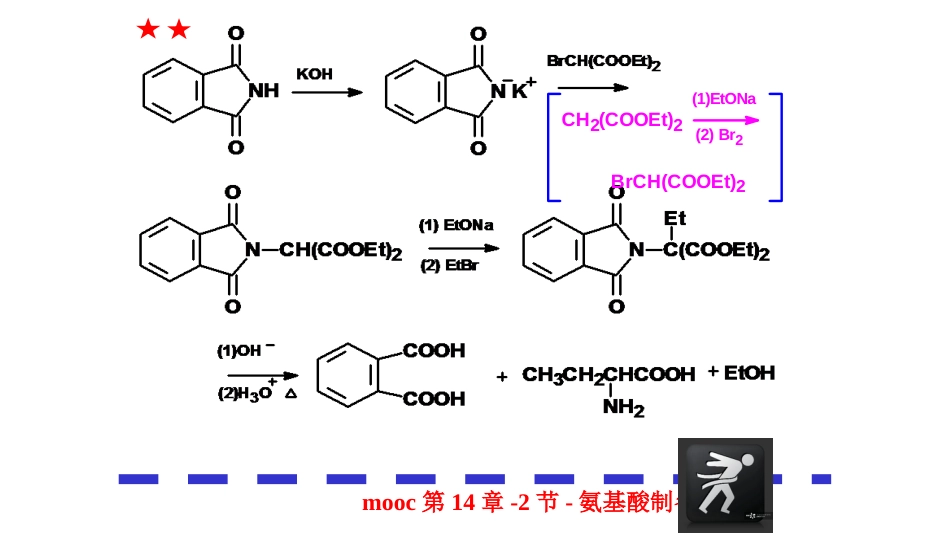 (156)--第十四章-2节-氨基酸制备有机化学_第2页