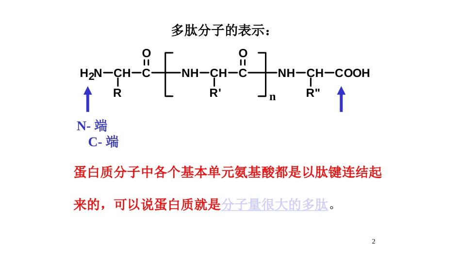 (157)--第十四章-3节-多肽有机化学有机化学_第2页