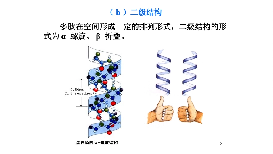 (158)--第十四章-4节-蛋白质结构有机化学_第3页