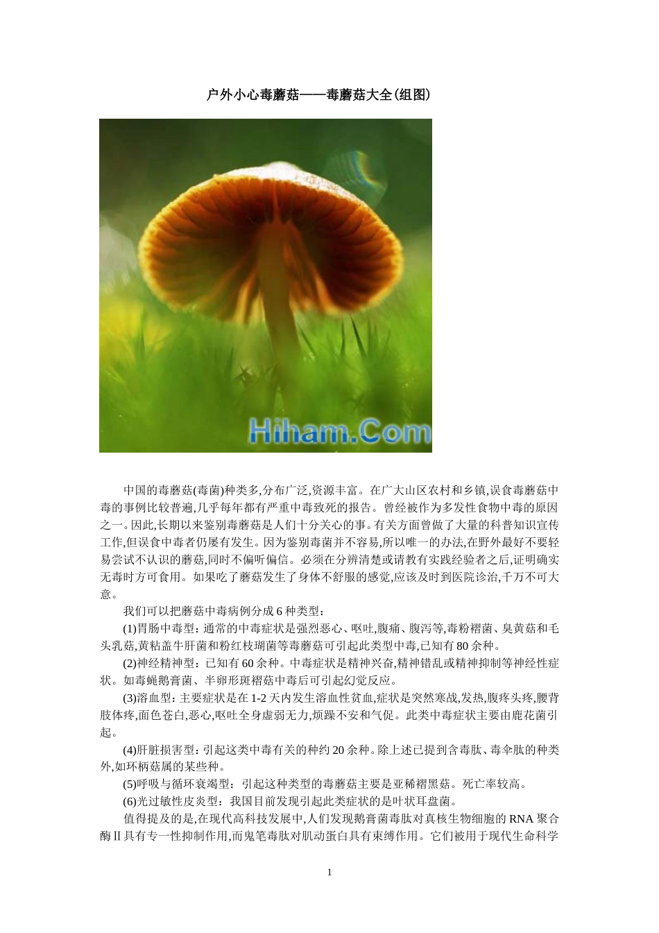 户外小心毒蘑菇——毒蘑菇大全_第1页