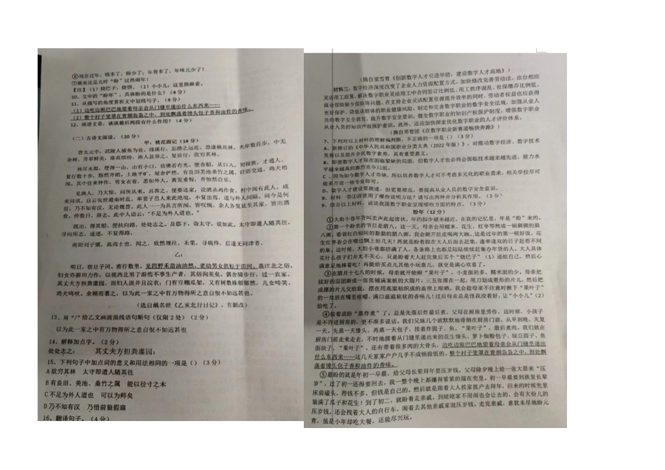 2023—204学年度第二学期湖南常德桃源县片区联考学八年级下册期中语文试卷_第3页