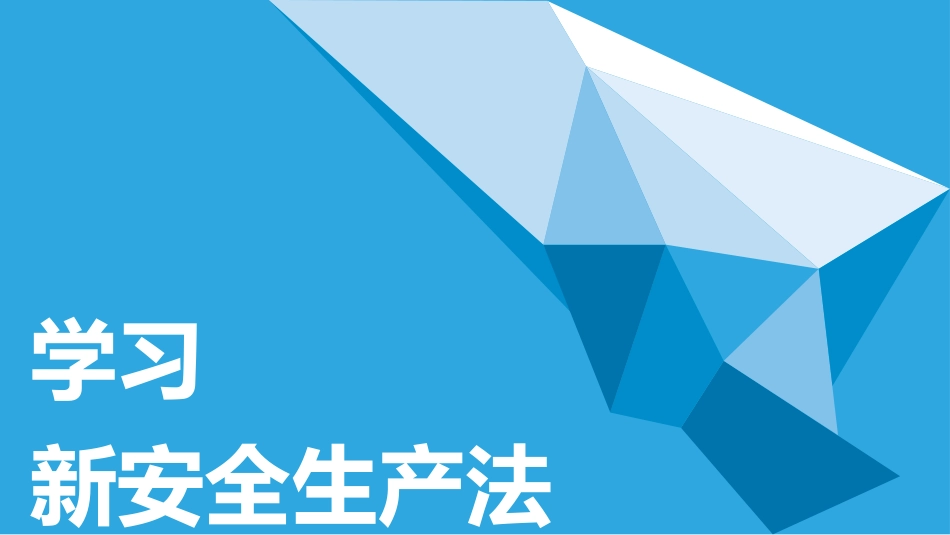 学习新安全生产法_第1页