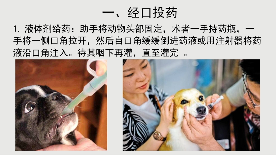 犬猫临床给药方法_第2页