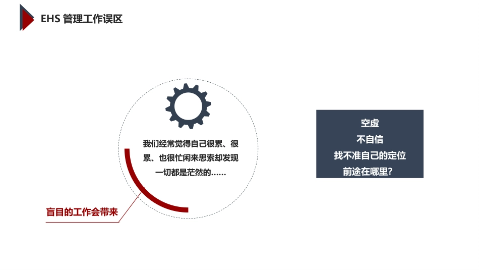 基于杜邦理念的企业卓越EHS管理体系_第2页