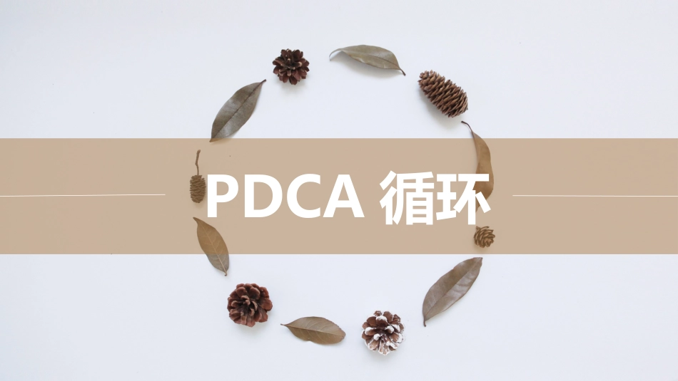 安全人应该知道的PDCA循环管理_第1页