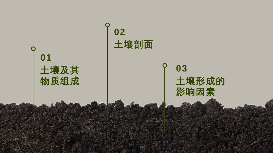 2.6土壤 的主要形成因素(2)_第2页