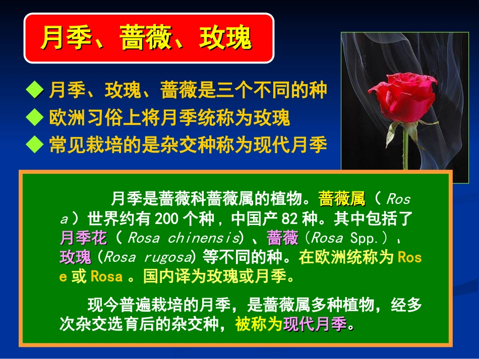 现代月季基础知识_第2页
