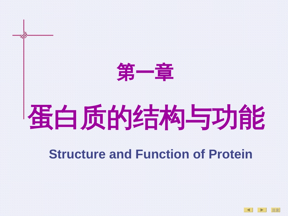 生化 第一章.蛋白质的结构与功能_第1页