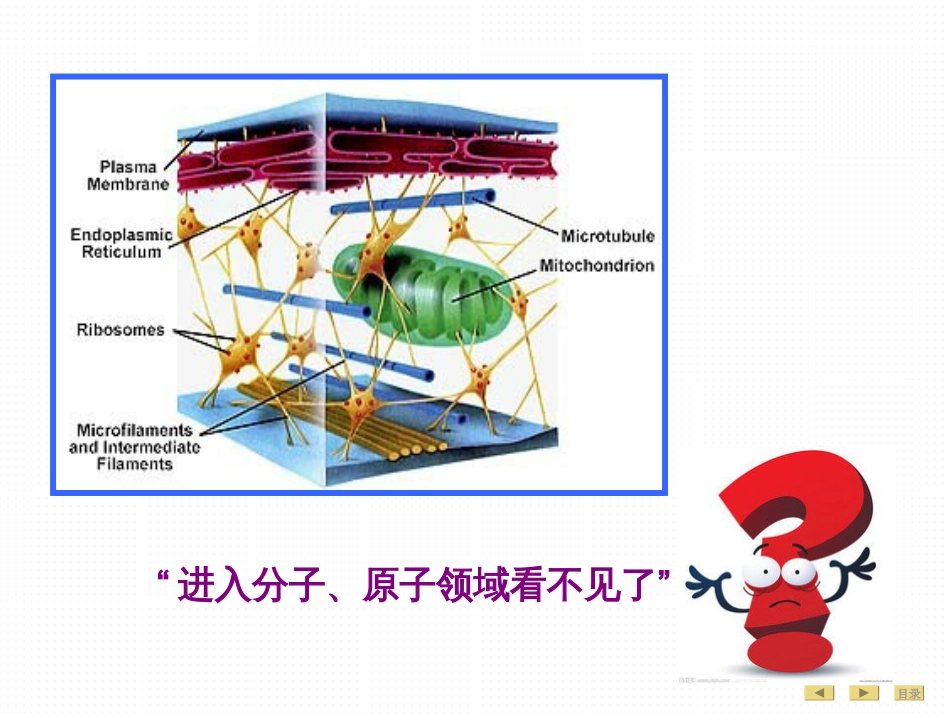 生化 蛋白质的结构与功能_第3页