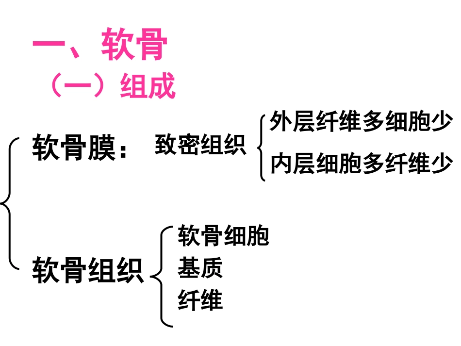 软骨、骨和骨发生1_第2页