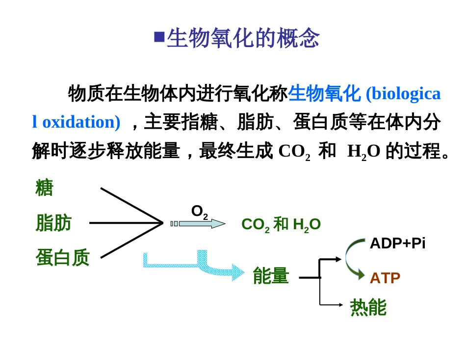 第06章生物氧化_第3页