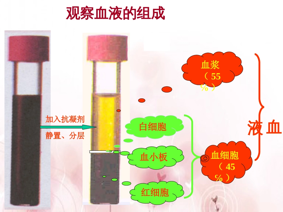 4.4.1流动的组织—血液课件2020--2021学年人教版初中生物七年级下册_第3页