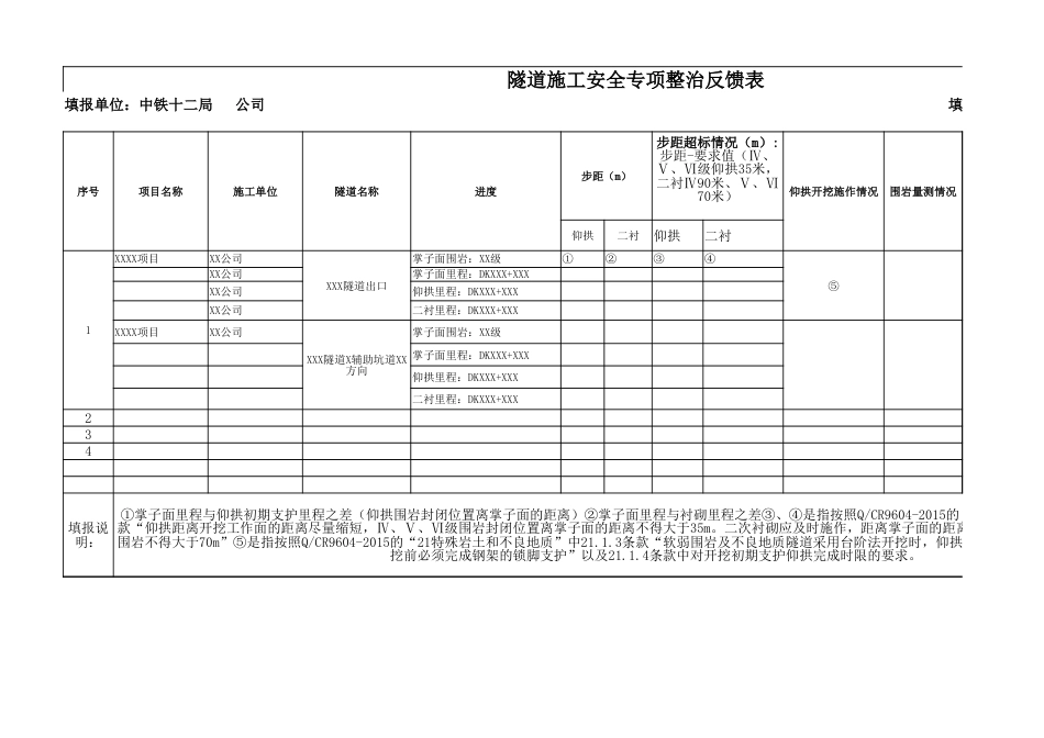 隧道施工安全专项整治反馈表  修改_第1页