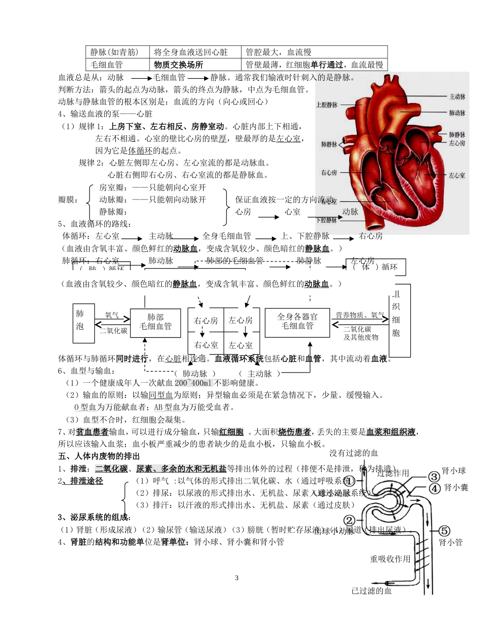 人教版七年级生物下册知识点归纳_第3页