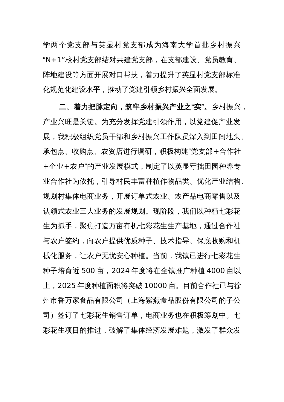 在乡村振兴工作会议上的交流发言范文_第2页
