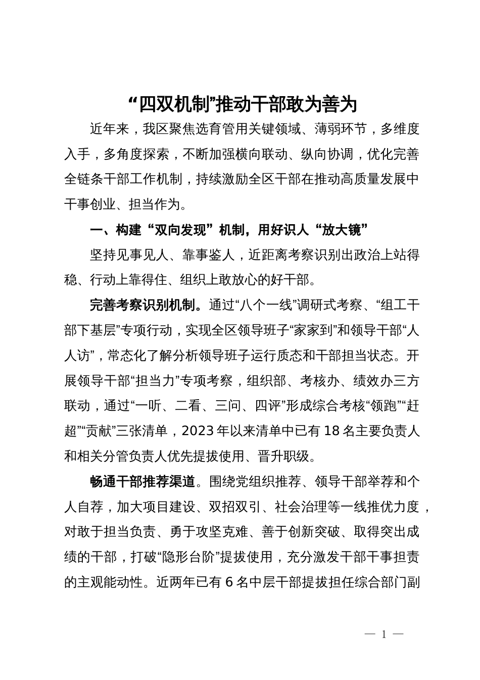 经验交流发言：“四双机制”推动干部敢为善为_第1页