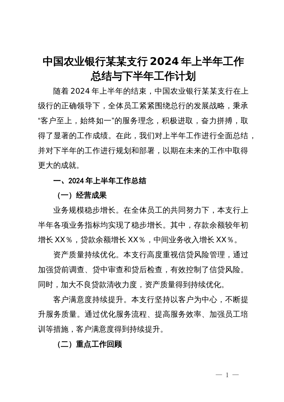 中国农业银行某某支行2024年上半年工作总结与下半年工作计划_第1页