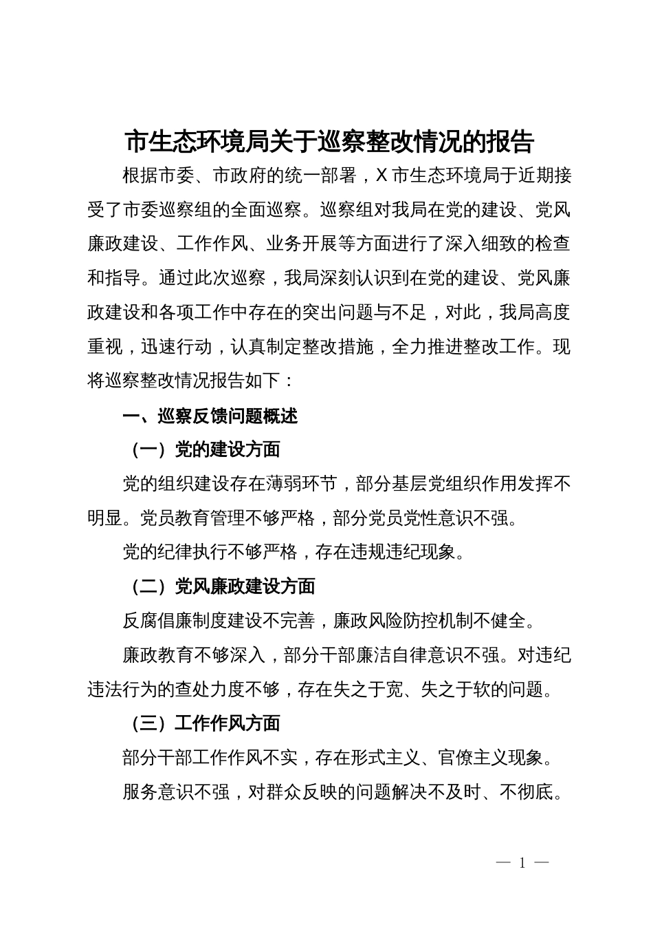 市生态环境局关于巡察整改情况的报告_第1页