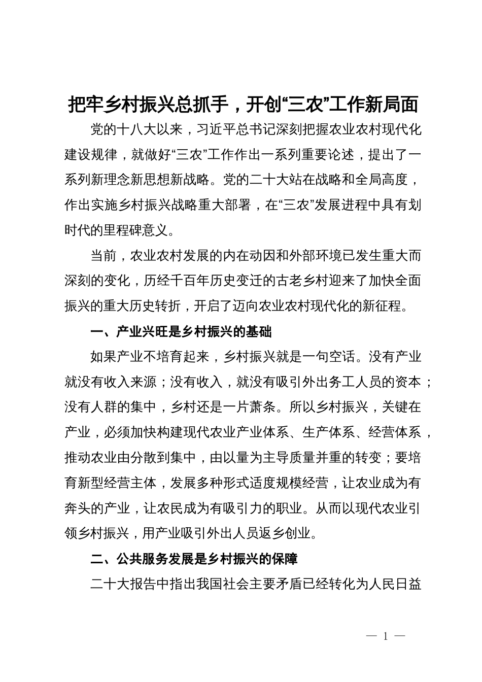 研讨发言：把牢乡村振兴总抓手，开创“三农”工作新局面_第1页