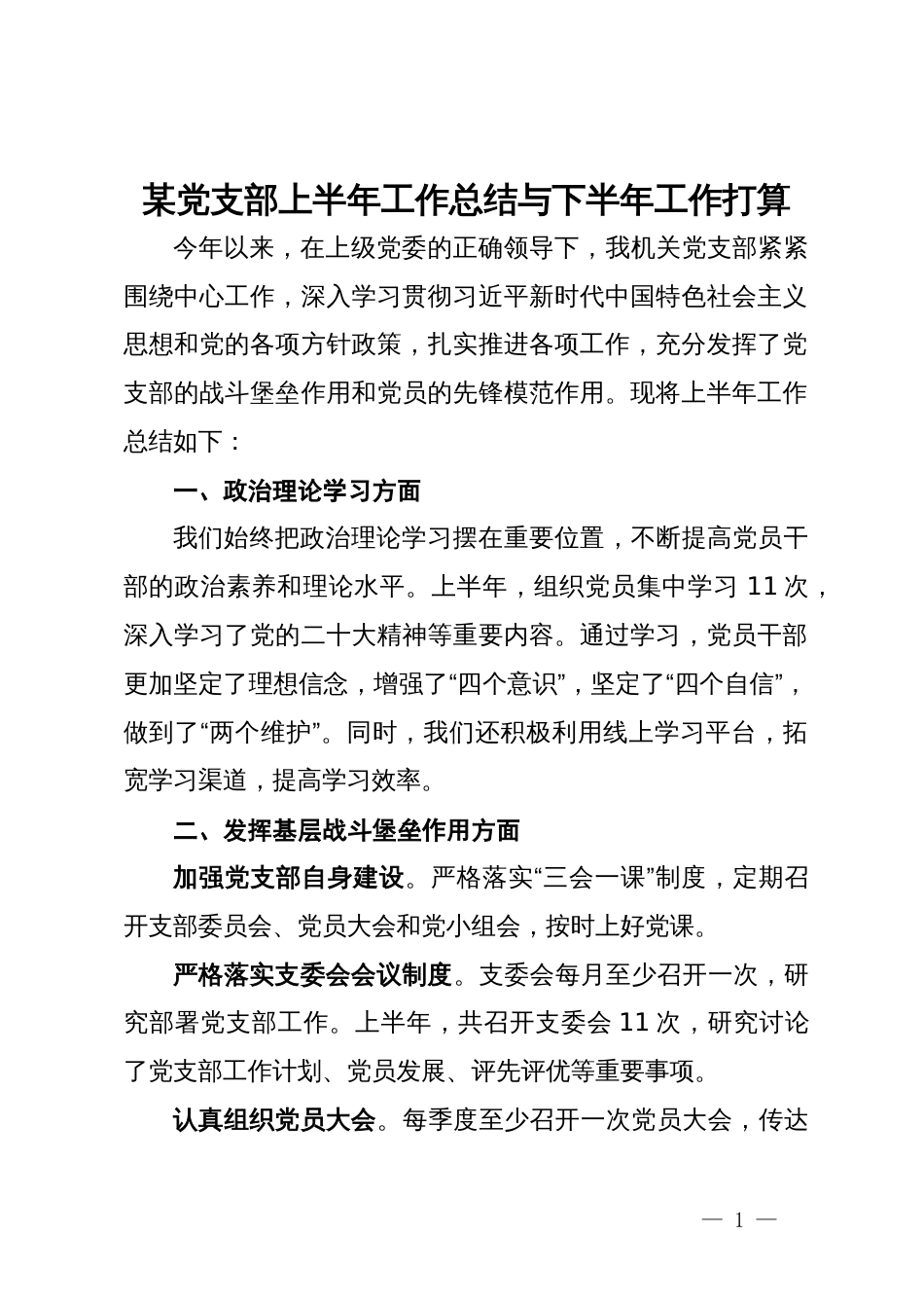 某党支部上半年工作总结与下半年工作打算_第1页