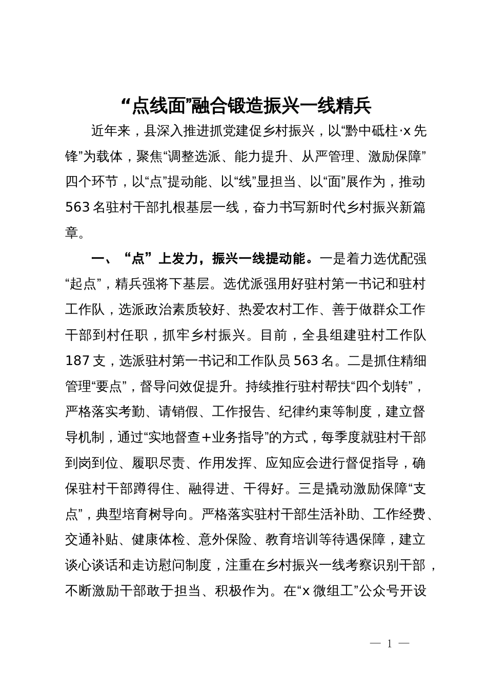 经验做法：“点线面”融合锻造振兴一线精兵_第1页