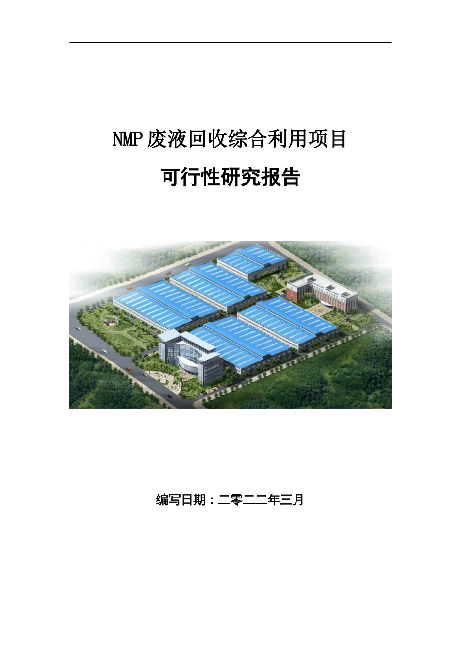 NMP废液回收综合利用项目可行性研究报告写作参考_第1页