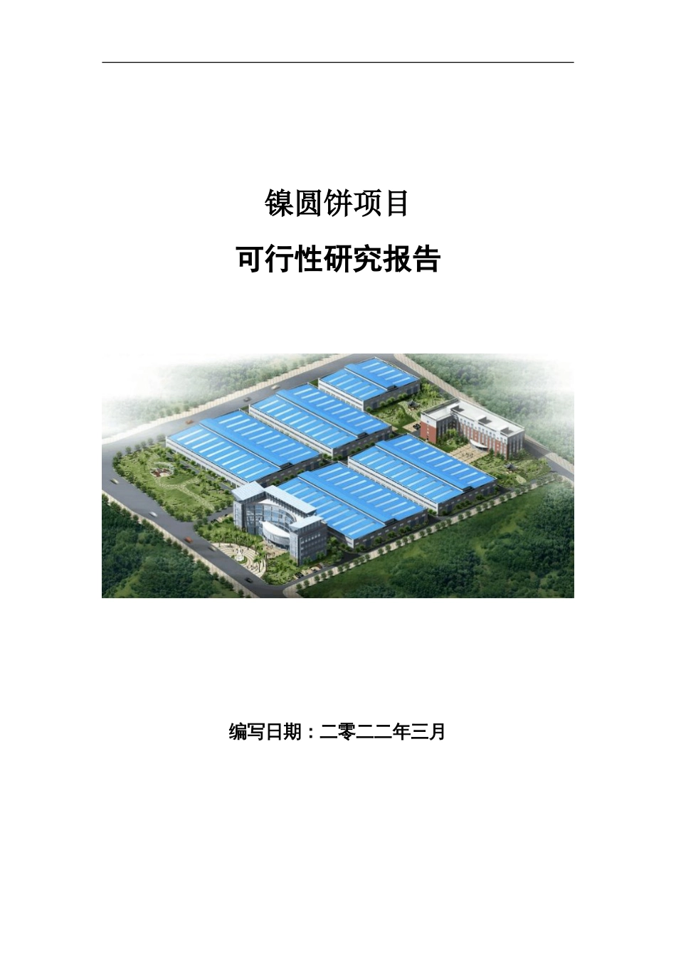 镍圆饼项目可行性研究报告写作参考_第1页