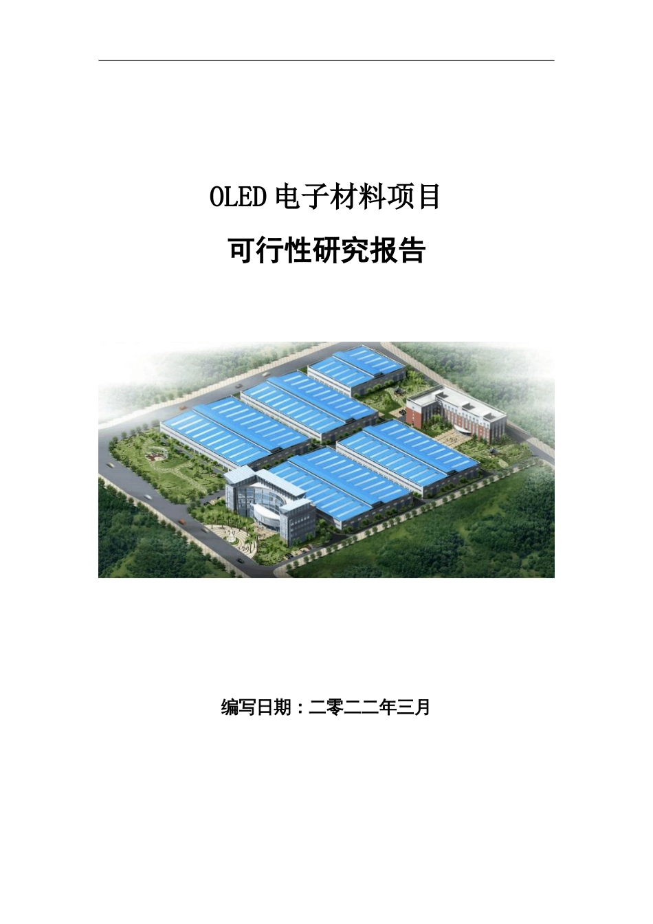 OLED电子材料项目可行性研究报告写作参考_第1页