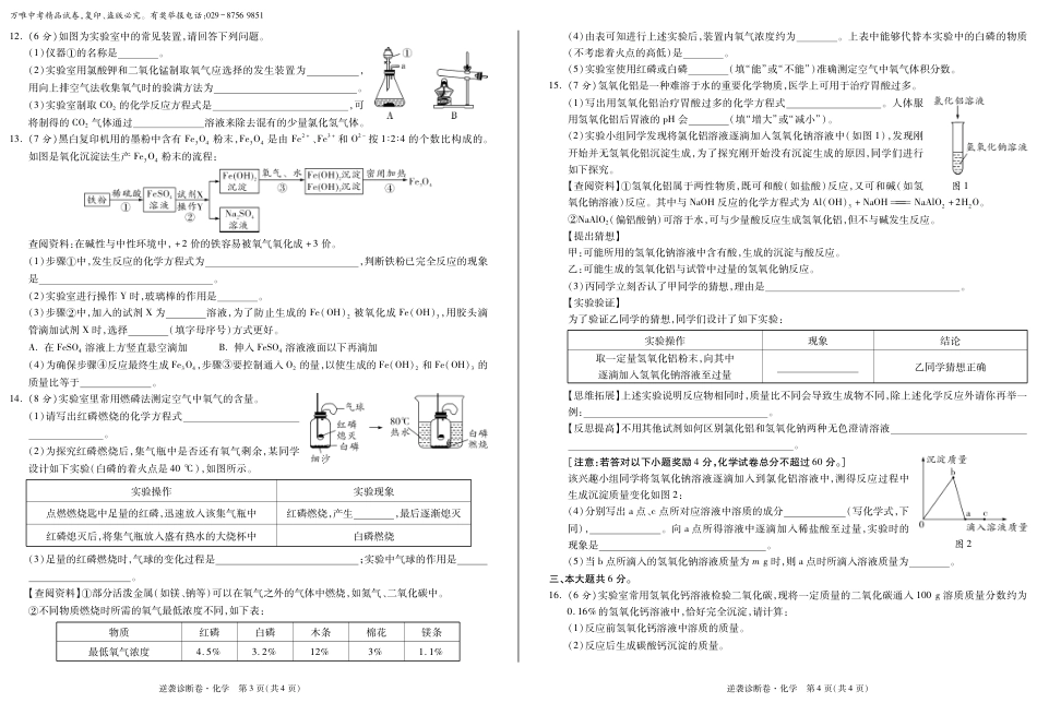 万唯中考2019安徽逆袭卷（化学试题）_第2页