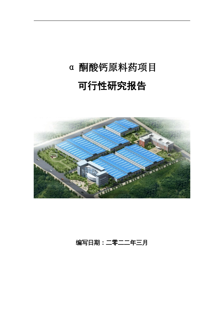 α酮酸钙原料药项目可行性研究报告写作参考_第1页