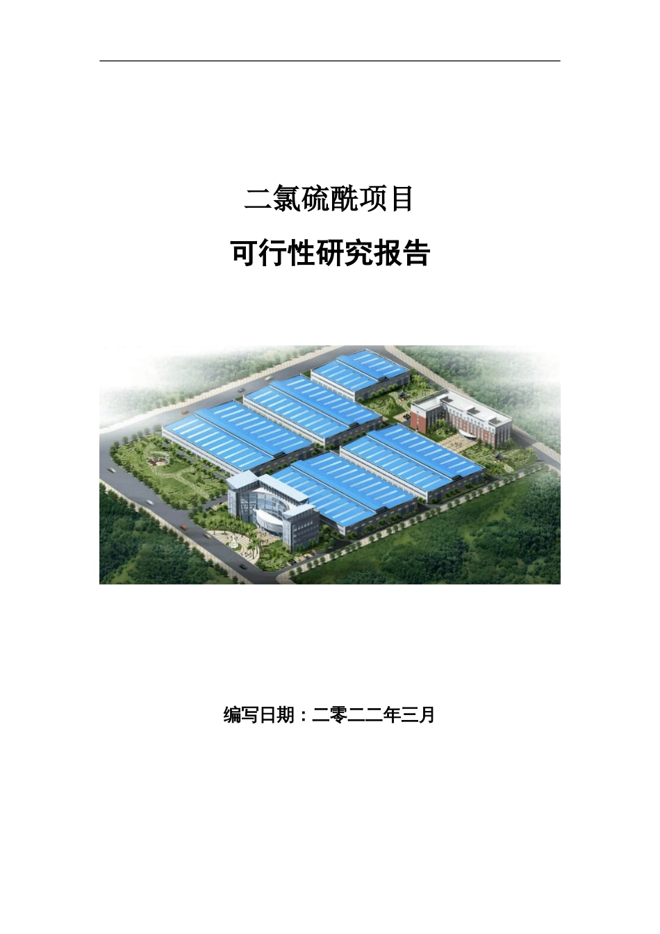 二氯硫酰项目可行性研究报告写作参考_第1页