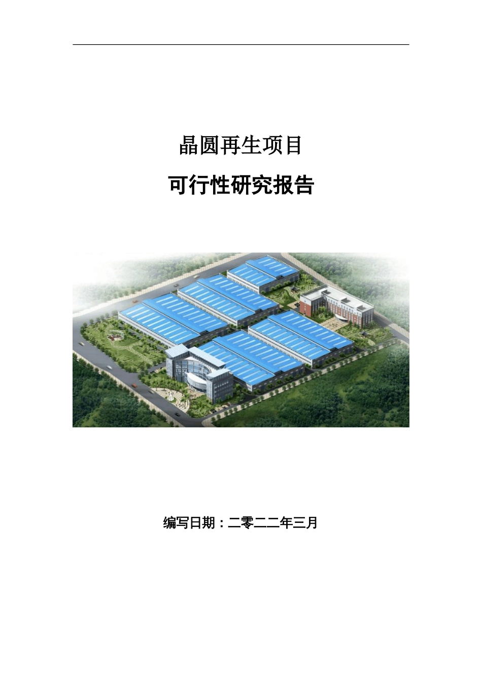 晶圆再生项目可行性研究报告写作参考_第1页