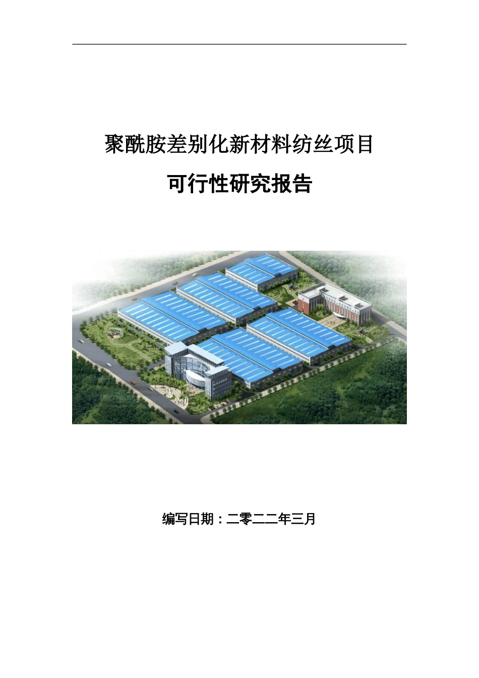 聚酰胺差别化新材料纺丝项目可行性研究报告写作参考_第1页