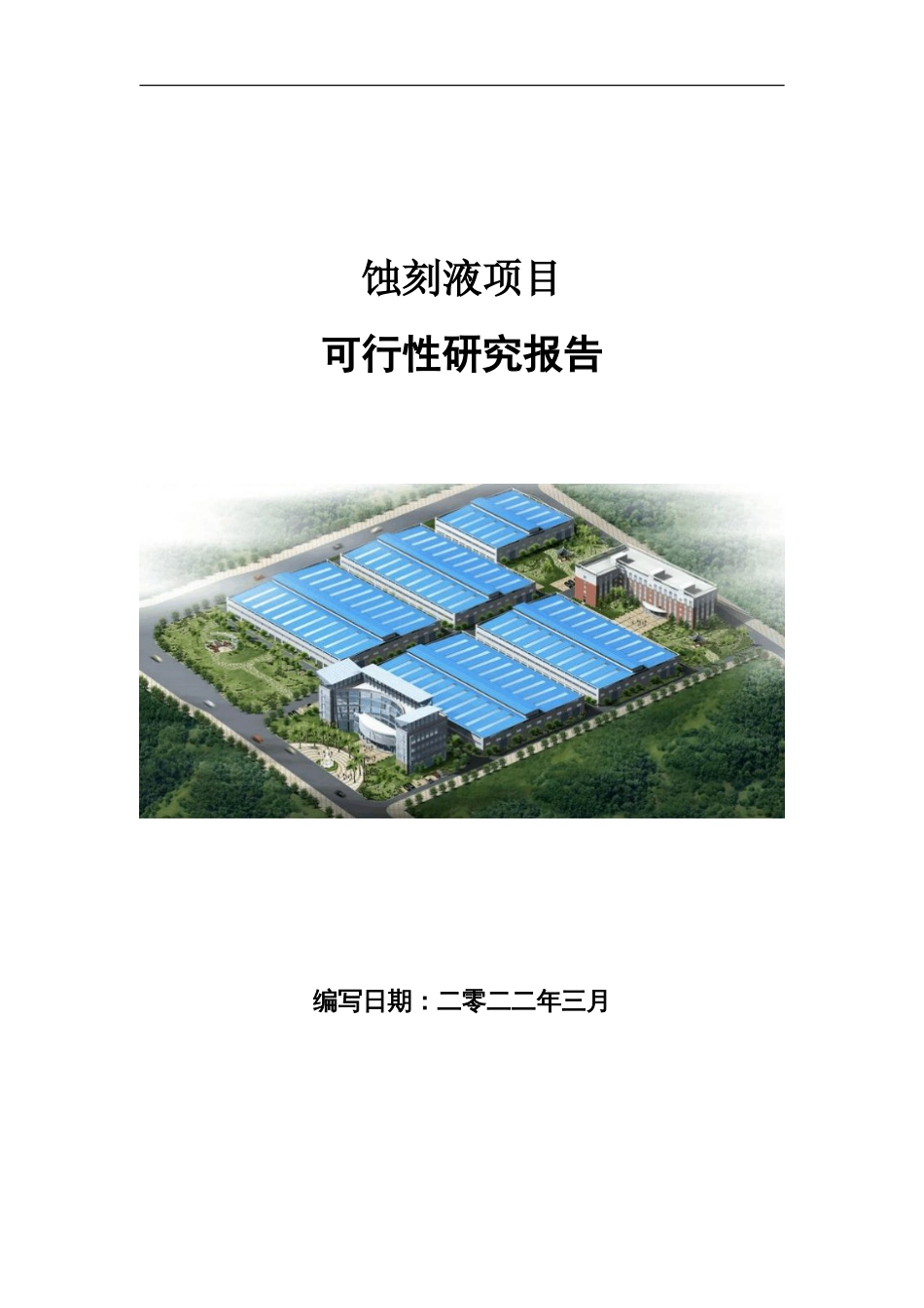 蚀刻液项目可行性研究报告写作参考_第1页
