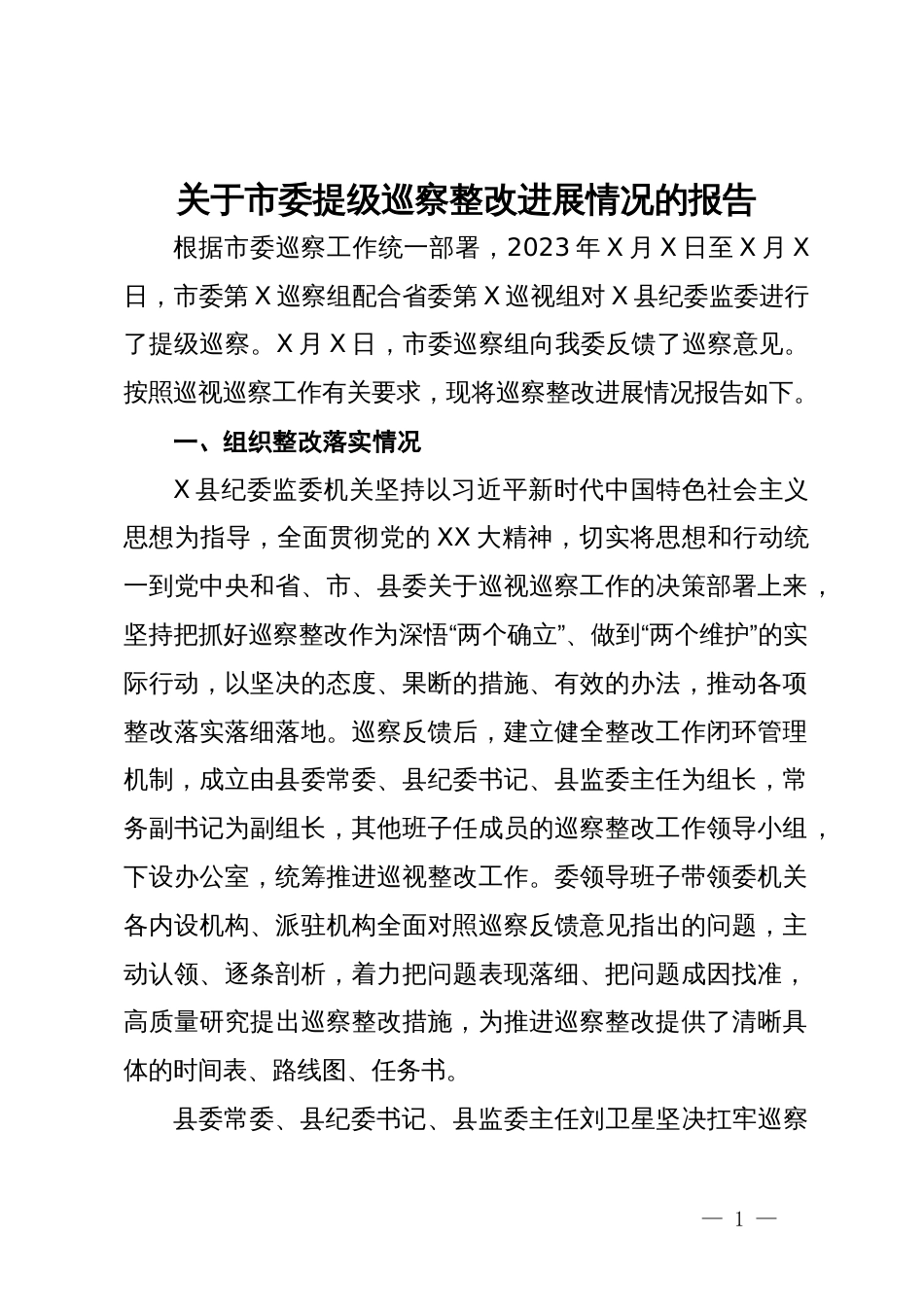 县纪委监委关于市委提级巡察整改进展情况的报告_第1页