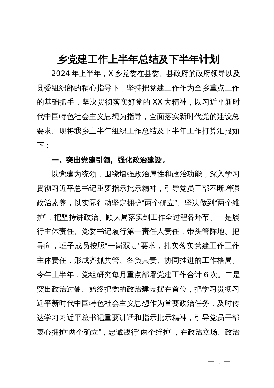 某乡2024年上半年党建工作总结及下半年计划_第1页